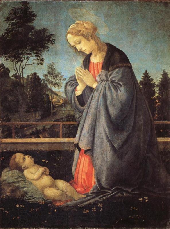 Filippino Lippi The Adoration of the Child China oil painting art